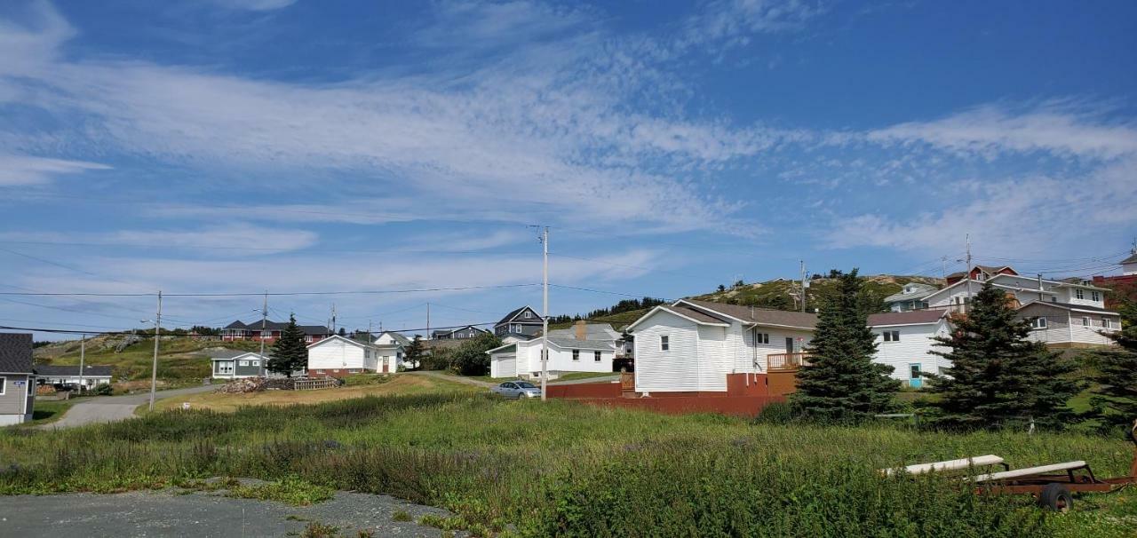 Hillside Cottage 2 Twillingate Extérieur photo